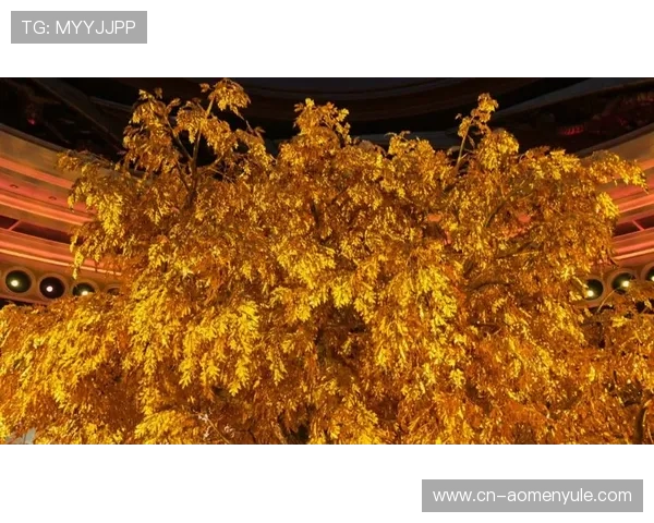 澳门永利皇宫发财树的叶子发黄怎么办及改善措施推荐