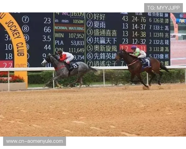 澳门赛马今天的赛事特色与历史背景深度解析