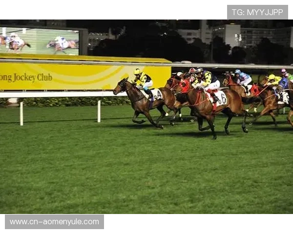 澳门赛马玩法投注技巧:专家推荐的赢马技巧与风险控制方法 澳门赛马玩法投注技巧:专家推荐的赢马技巧与风险控制方法