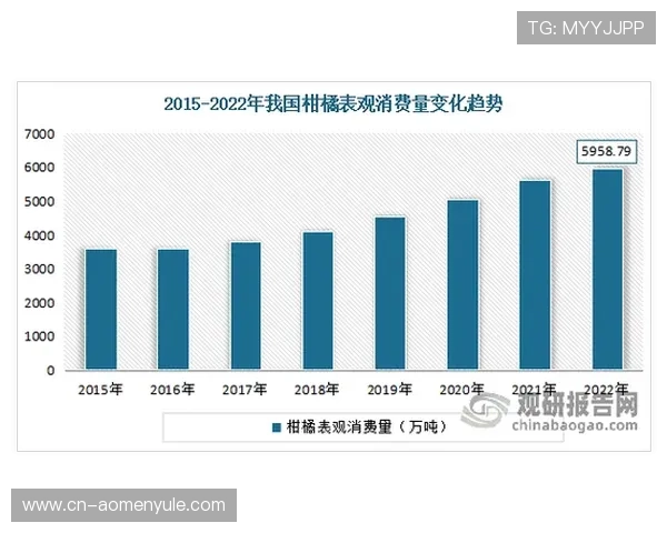 大阳城集团在行业中的核心竞争优势与市场份额提升路径研究